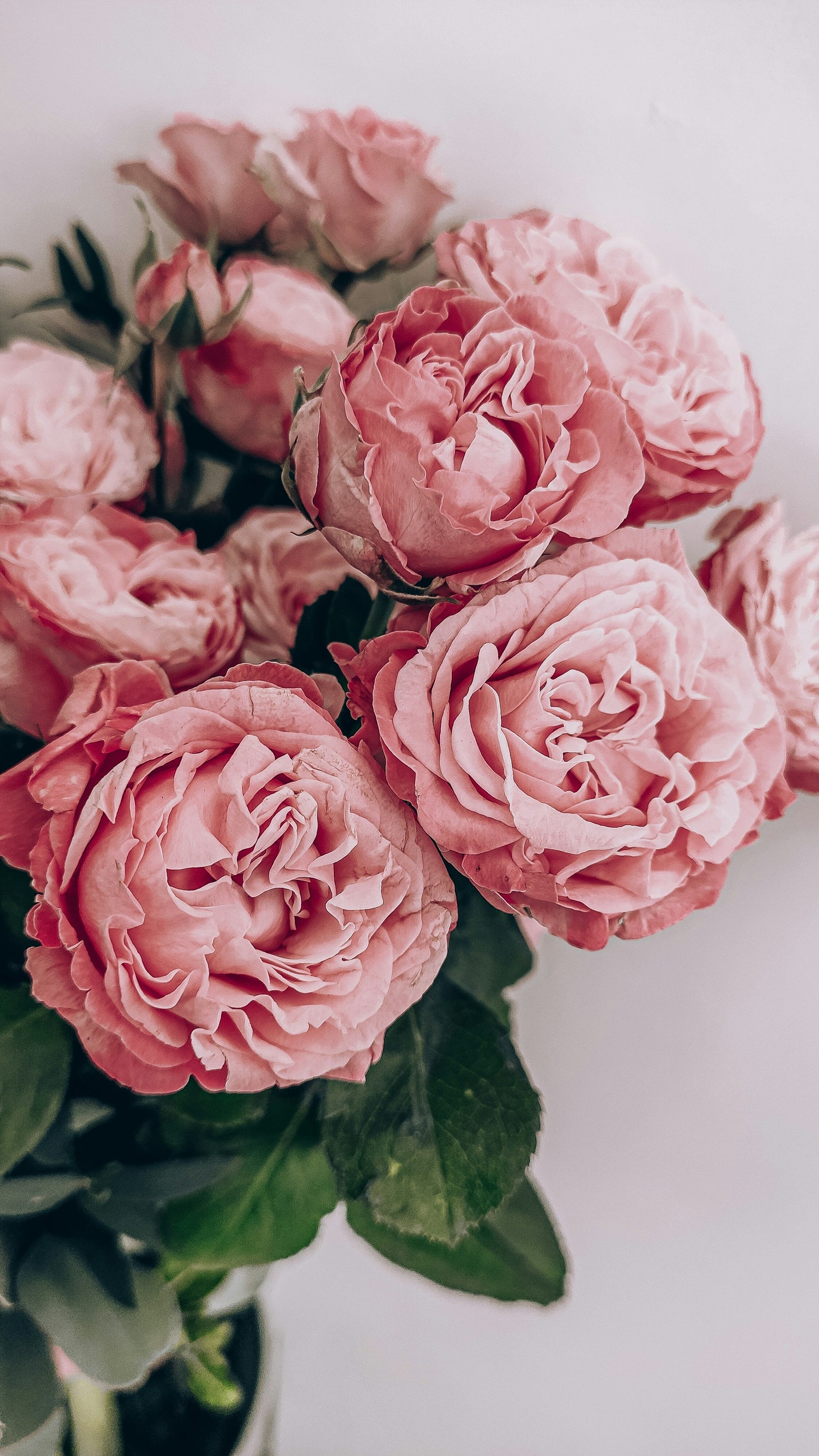 Spring Sample Pack