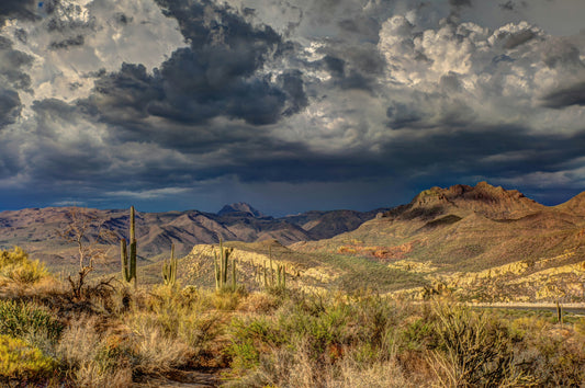 The Arizona City Series: Introducing the New Candle Collection