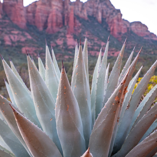 Sedona